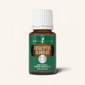 Eucalyptus Globulus 藍膠尤加利