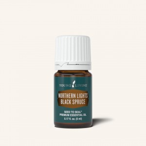 Northern Lights Black Spruce 北極光黑雲杉