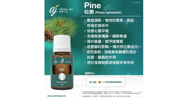 松樹精油 Pine Essential Oil 15ml