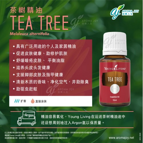 Tea Tree 茶樹