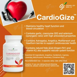 Cardiogize