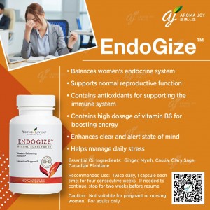 EndoGize