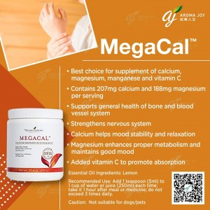 MegaCal