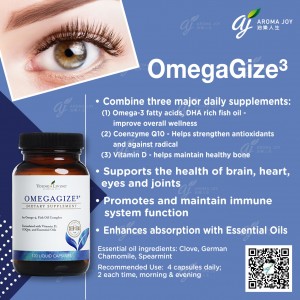 OmegaGize³