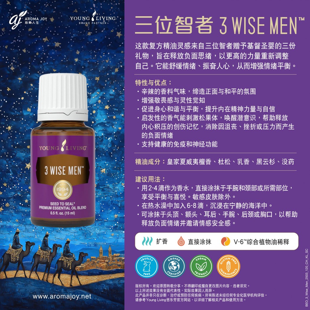 3 Wise Man 三位智者