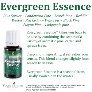 Evergreen Essence 常青精華