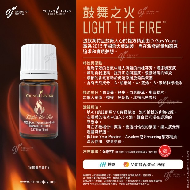 Light the Fire 鼓舞之火
