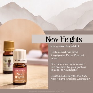 New Heights 新高度