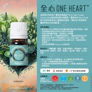 One Heart 全心