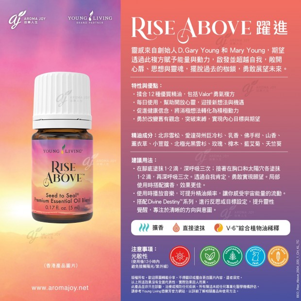 Rise Above 躍進