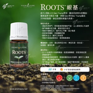 Roots 根基