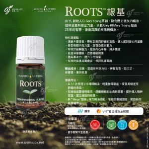 Roots 根基