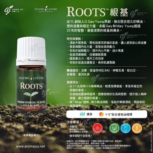 Roots 根基