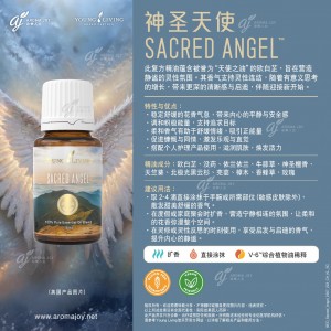 Sacred Angel 神聖天使
