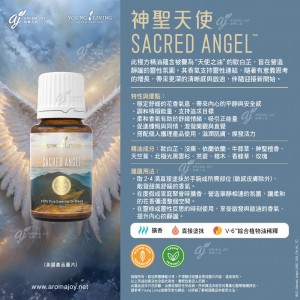 Sacred Angel 神聖天使