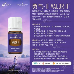 Valor II 勇氣II 
