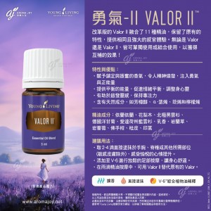 Valor II 勇氣II 