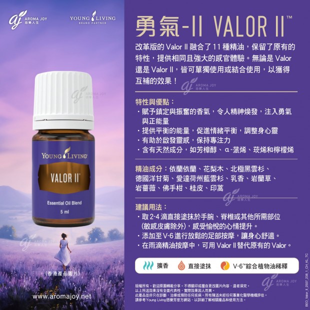 Valor II 勇氣II 