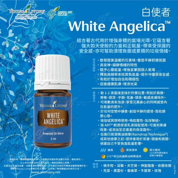 White Angelica 白使者