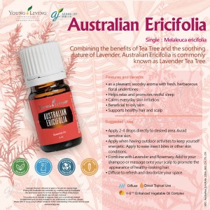 Australian Ericifolia 澳洲白千層
