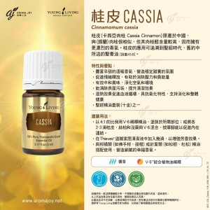 Cassia 桂皮 