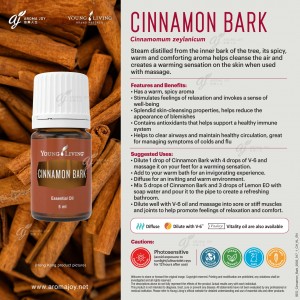 Cinnamon Bark 肉桂
