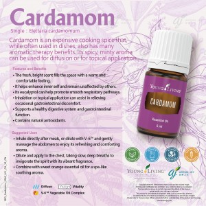 Cardamom 小豆蔻