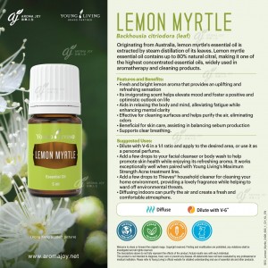 Lemon Myrtle 檸檬香桃木