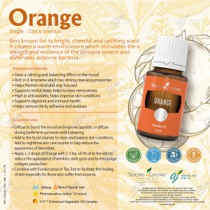 Orange 甜橙