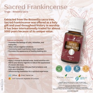 Sacred Frankincense 神聖乳香