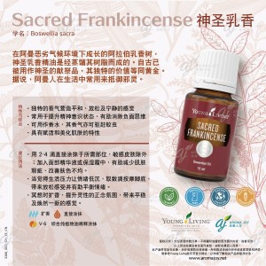 Sacred Frankincense 神聖乳香