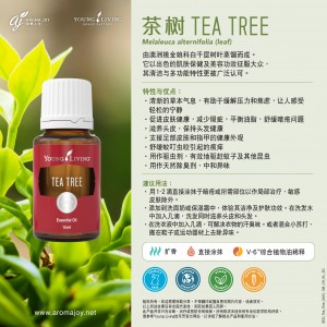 Tea Tree 茶樹