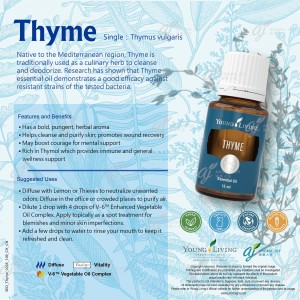 Thyme 百里香