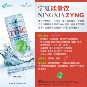 NingXia Zyng 寧夏能量飲