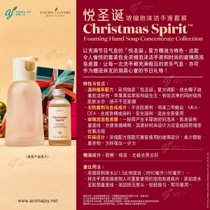 Christmas Spirit Foaming Hand Soap Concentrate Collection 悅聖誕濃縮泡沫潔手液套裝