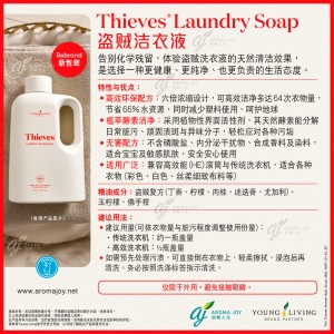 Thieves Laundry Soap 盜賊潔衣液
