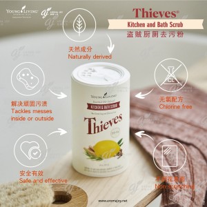 Thieves Kitchen and Bath Scrub 盜賊廚廁去污粉