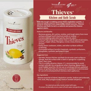 Thieves Kitchen and Bath Scrub 盜賊廚廁去污粉