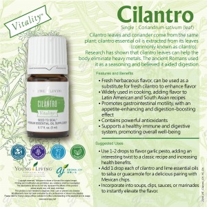 Cilantro Vitality 芫荽葉精油調味料