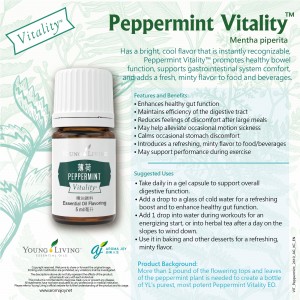 Peppermint Vitality 薄荷精油調味料