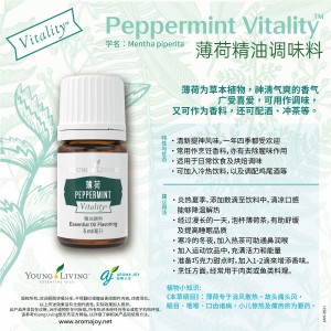 Peppermint Vitality 薄荷精油調味料