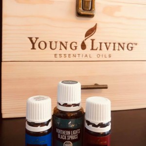 神奇的北極光黑雲杉 (中國市場)