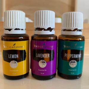 神秘的 LLP  (中國市場)