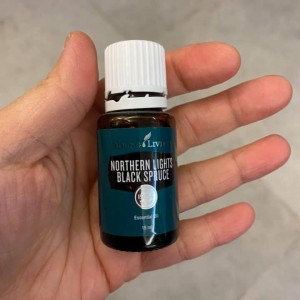 Gary與北極光黑雲杉的故事 (*中國市場)