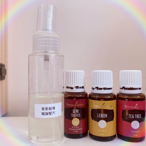 坐式公廁自救法  (*中國市場)