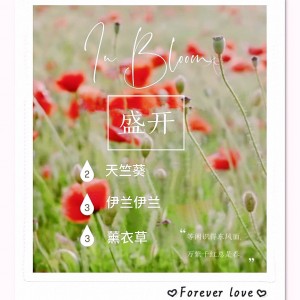 春日擴香 (*中國市場)