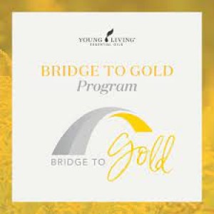 BRIDGE TO GOLD 獎賞計劃