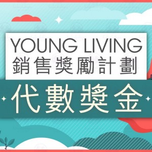 (廣東話) 5.代數獎金