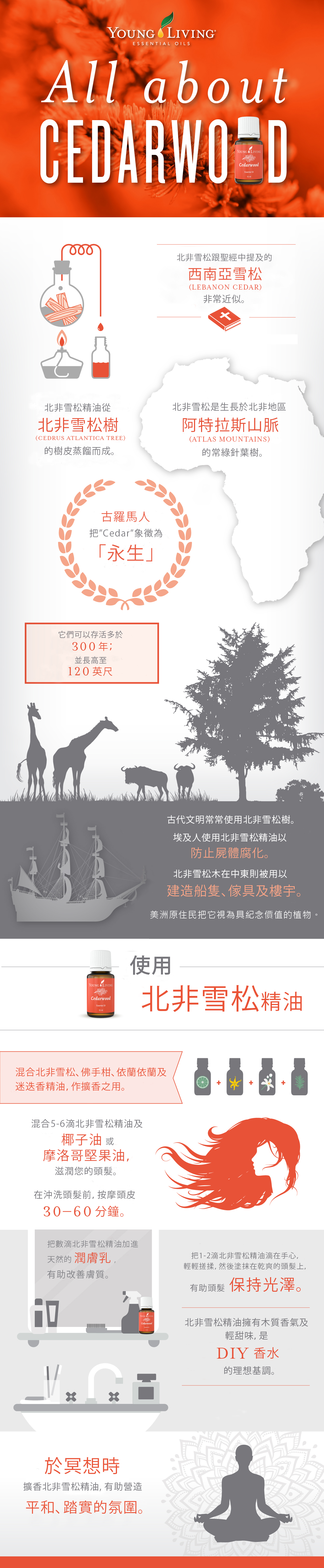 Cedarwood北非雪松