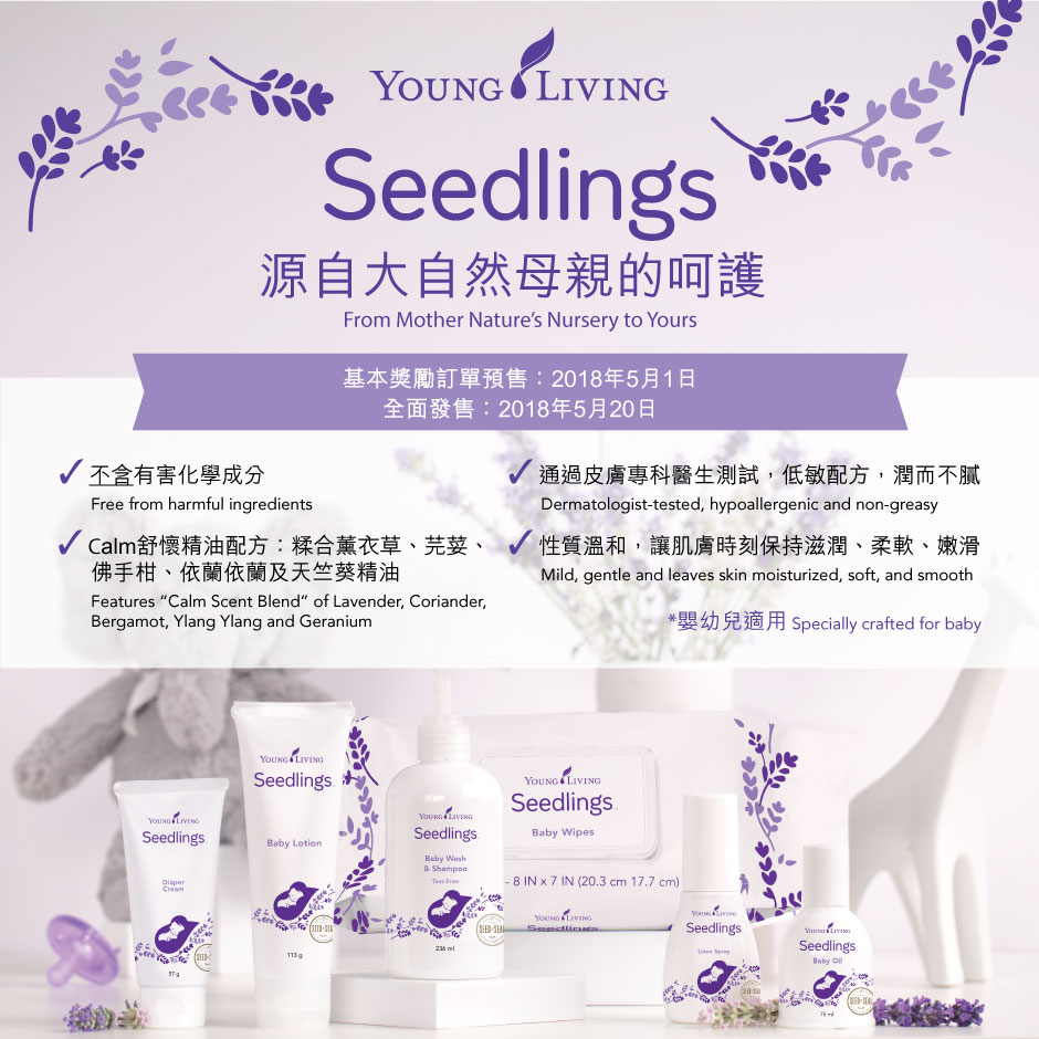 Seedlings 宣傳圖
